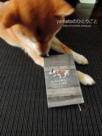 犬の本 ブイヨンの日々 Yamatoのひとりごと 犬の本 ブイヨンの日々 Yamatoのひとりごと