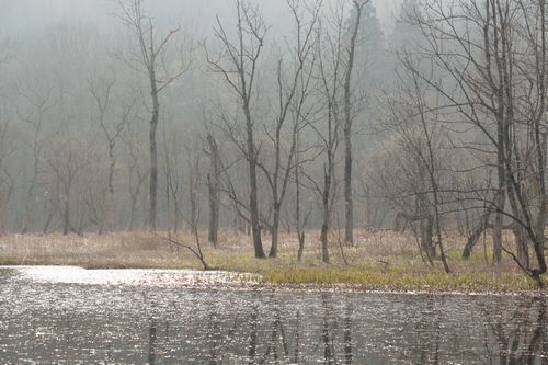 c0294658_11355638.jpg