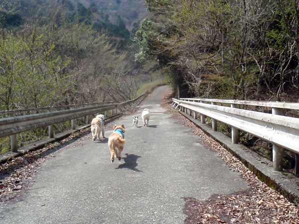 安定したお天気と知れば！！_c0110361_14315578.jpg