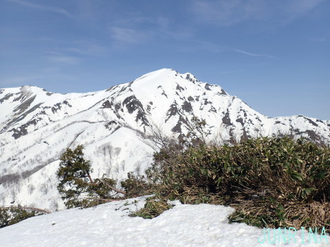 d0110562_04002118.jpg