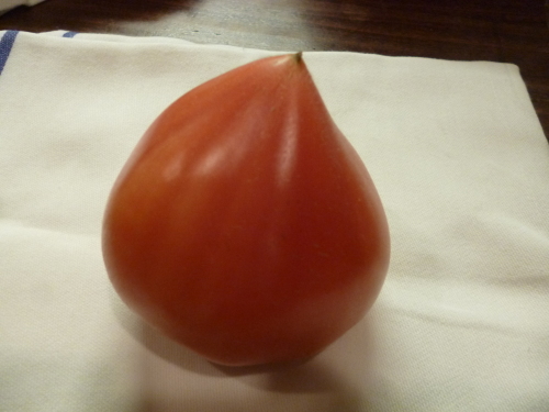 懐かしいですね~~_e0252966_12160167.jpg