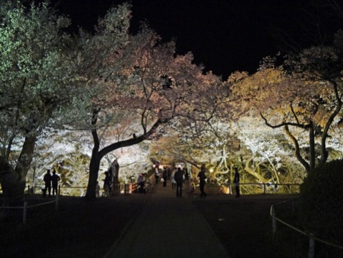 高遠「天下第一の桜」...そしてあの「Lamp/Lamp」がLED電球として生まれ変わりました!_b0125570_1037452.jpg