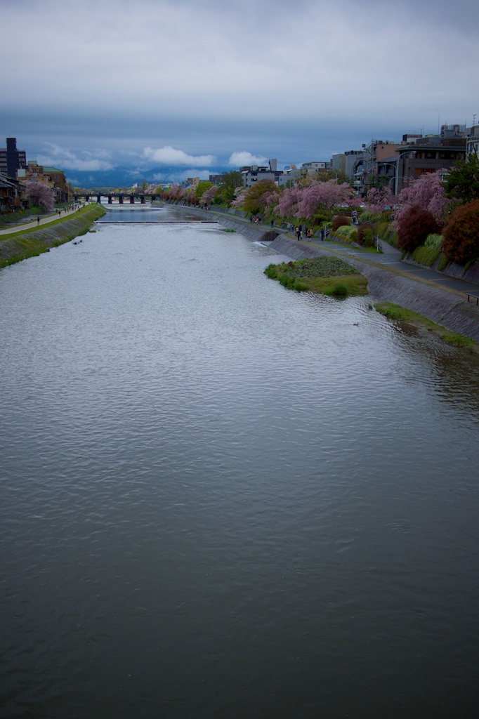 2015 春・週末旅 桜色の京都慕情 其の六（最終回）_b0247073_2336831.jpg