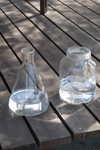 二つのガラス瓶に雲竜ヤナギを_c0334574_1938631.jpg
