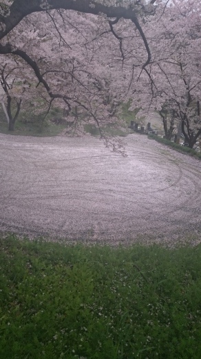 なんて美しい‼    なんて静か‼_c0362977_18524579.jpg