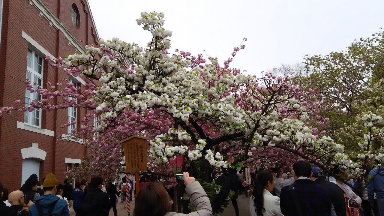 f0200477_20315152.jpg