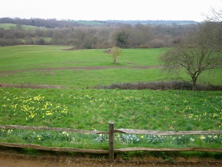 a0208783_58428.jpg