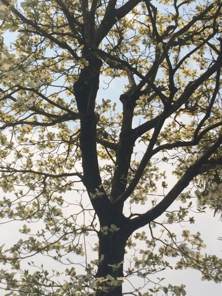 家具搬入_a0129492_17241652.jpg