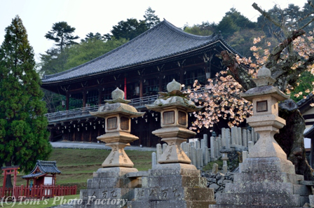 奈良大和路「東大寺」～早朝の「浮見堂と二月堂」_b0155692_22213762.jpg