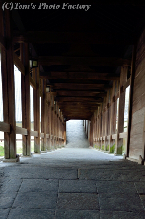 奈良大和路「東大寺」～早朝の「浮見堂と二月堂」_b0155692_2236417.jpg