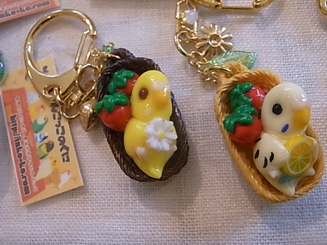 鳥展、セキセイインコ・オカメインコたっぷりご紹介、常設新作と松岡文個展_d0322493_1514243.jpg