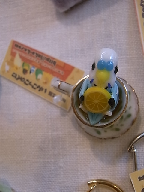 鳥展、セキセイインコ・オカメインコたっぷりご紹介、常設新作と松岡文個展_d0322493_1533979.jpg