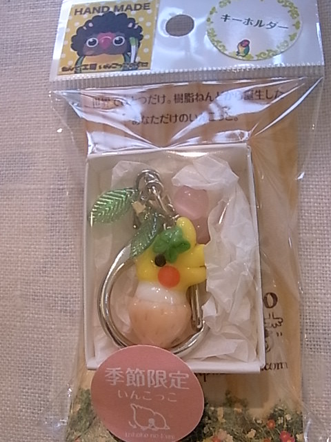 鳥展、セキセイインコ・オカメインコたっぷりご紹介、常設新作と松岡文個展_d0322493_1551526.jpg