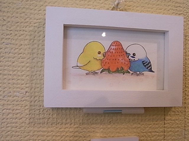 鳥展、セキセイインコ・オカメインコたっぷりご紹介、常設新作と松岡文個展_d0322493_1574847.jpg