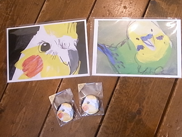 鳥展、セキセイインコ・オカメインコたっぷりご紹介、常設新作と松岡文個展_d0322493_202399.jpg