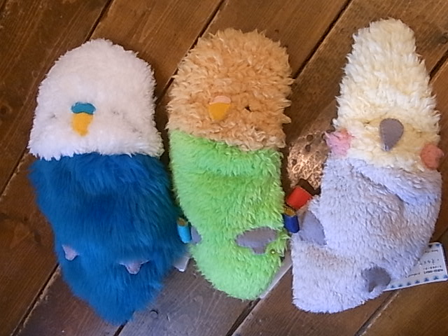 鳥展、セキセイインコ・オカメインコたっぷりご紹介、常設新作と松岡文個展_d0322493_204874.jpg