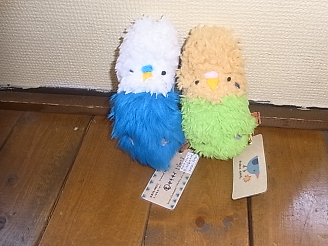 鳥展、セキセイインコ・オカメインコたっぷりご紹介、常設新作と松岡文個展_d0322493_212569.jpg