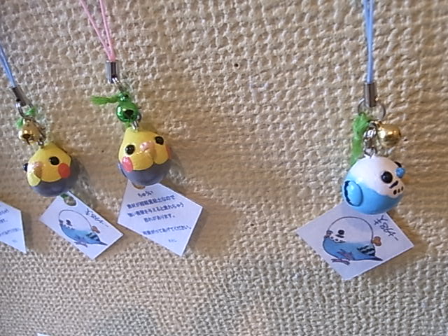 鳥展、セキセイインコ・オカメインコたっぷりご紹介、常設新作と松岡文個展_d0322493_21864.jpg
