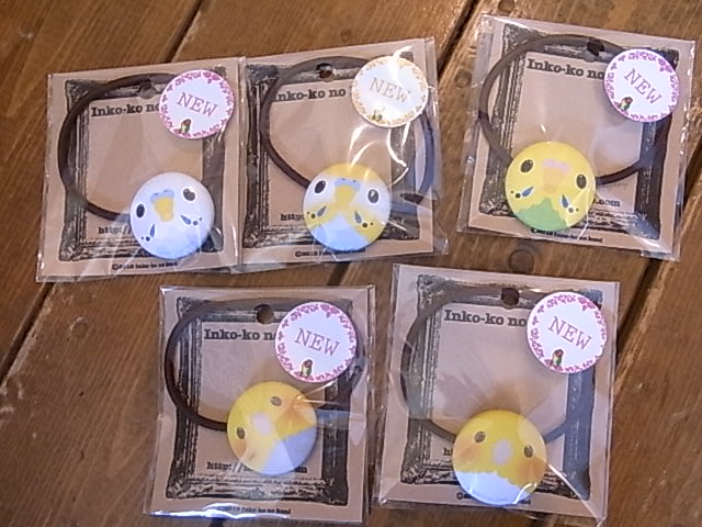 鳥展、セキセイインコ・オカメインコたっぷりご紹介、常設新作と松岡文個展_d0322493_232270.jpg