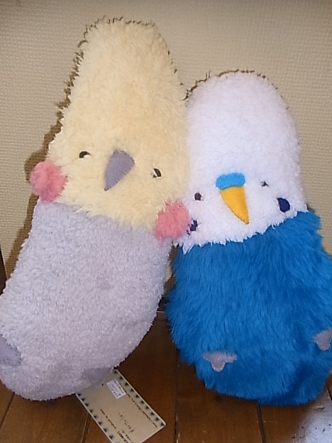 鳥展、セキセイインコ・オカメインコたっぷりご紹介、常設新作と松岡文個展_d0322493_234466.jpg