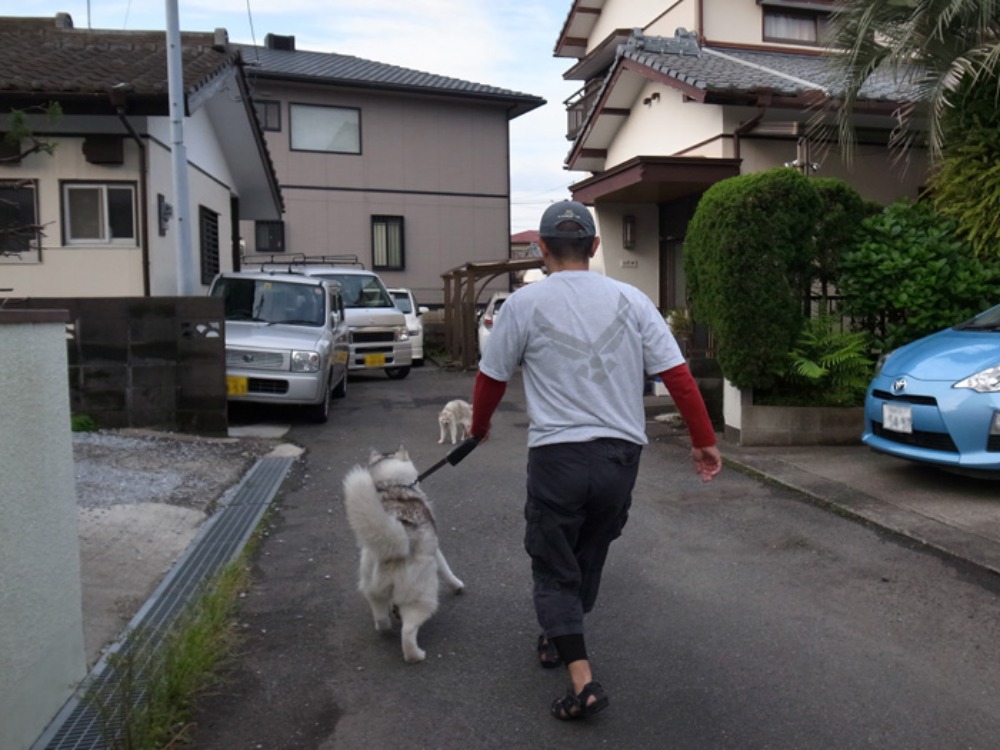 c0049299_22205481.jpg