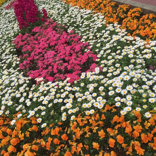 c0227407_14212.jpg