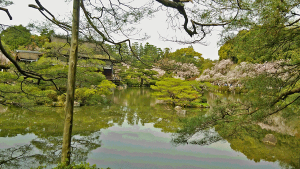 e0020214_11482419.gif