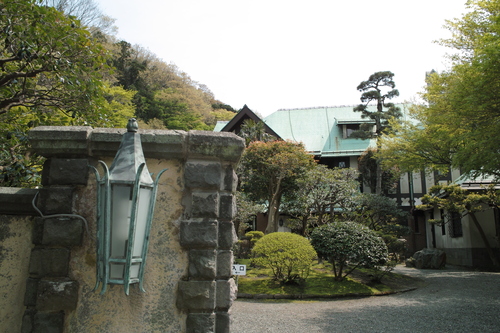 衣張山に山桜を見に行こうと思っていたら、すっかり時期を逃してしまいました_b0285619_225735.jpg