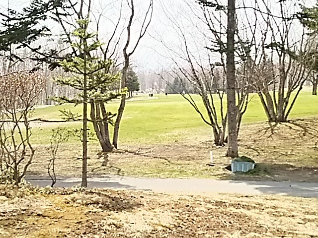 f0227321_13515742.jpg