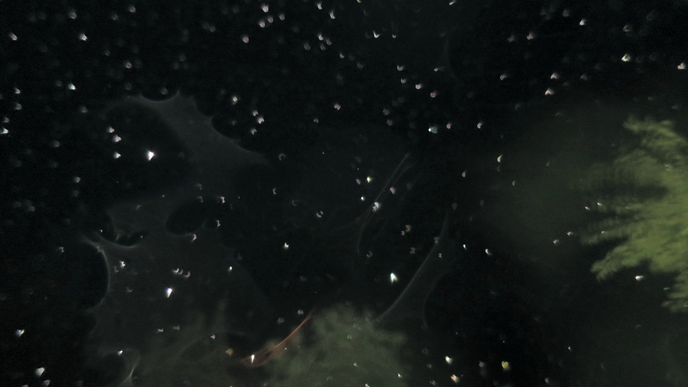 c0331825_14394857.jpg