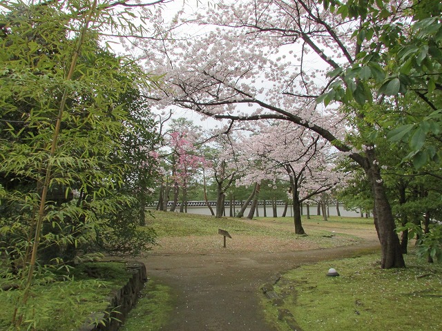 姫路城の好古園を散策 (その2)_e0321325_16562890.jpg