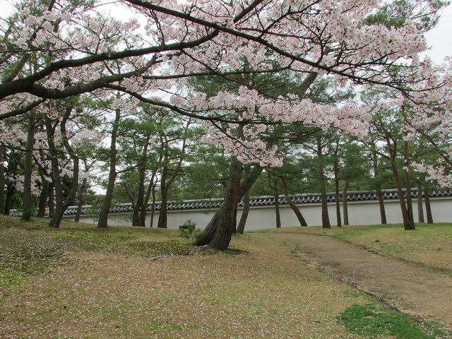 姫路城の好古園を散策 (その2)_e0321325_1657277.jpg