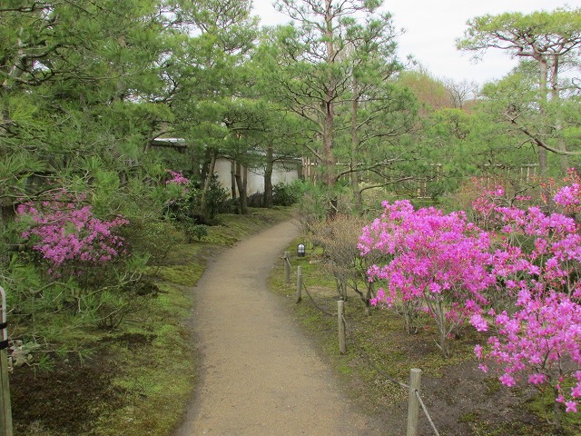 姫路城の好古園を散策 (その2)_e0321325_1792095.jpg