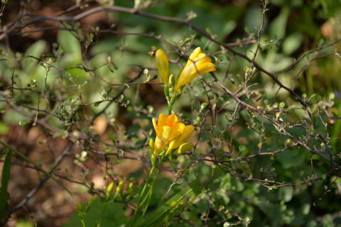 e0335926_23013156.jpg