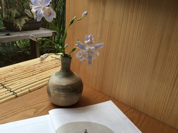 桜から新緑へ_a0197730_2012414.jpg