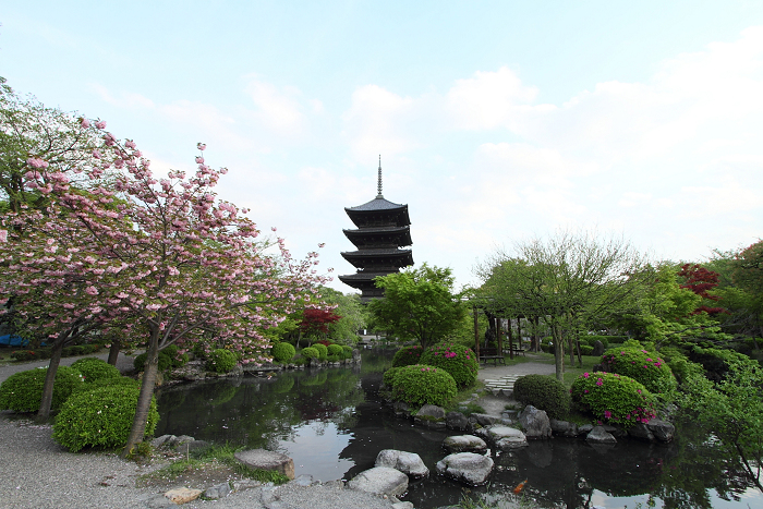 東寺 －五重塔（前編）－_b0169330_17333929.jpg