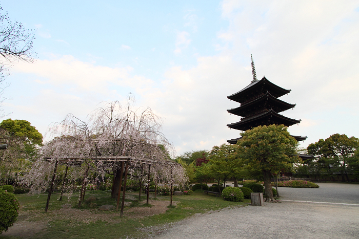 東寺 －五重塔（前編）－_b0169330_23362616.jpg