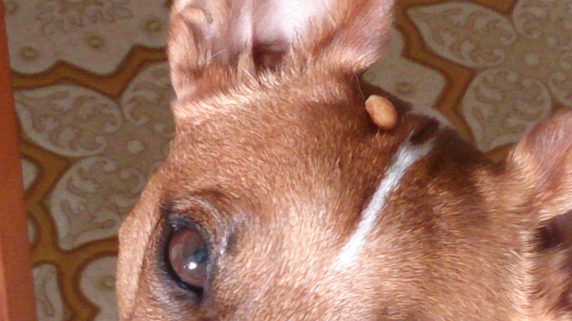 e0252832_8555196.jpg