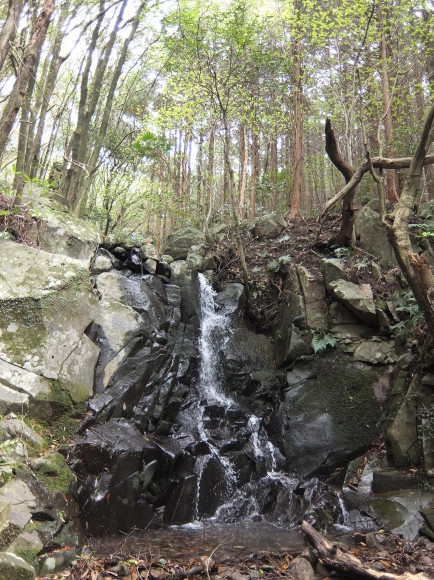 岩屋山へ　（両生類　得意じゃないかたは　３番目の写真までおねがいします）_d0141735_23064707.jpg