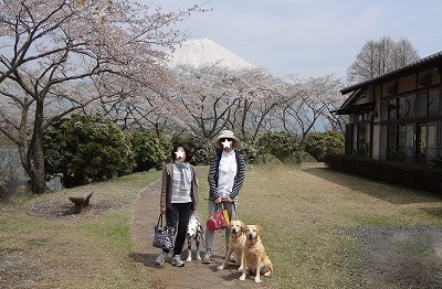 久振りのお休みは＆今日の富士山_a0167836_1819346.jpg