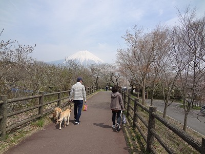 久振りのお休みは＆今日の富士山_a0167836_1824936.jpg