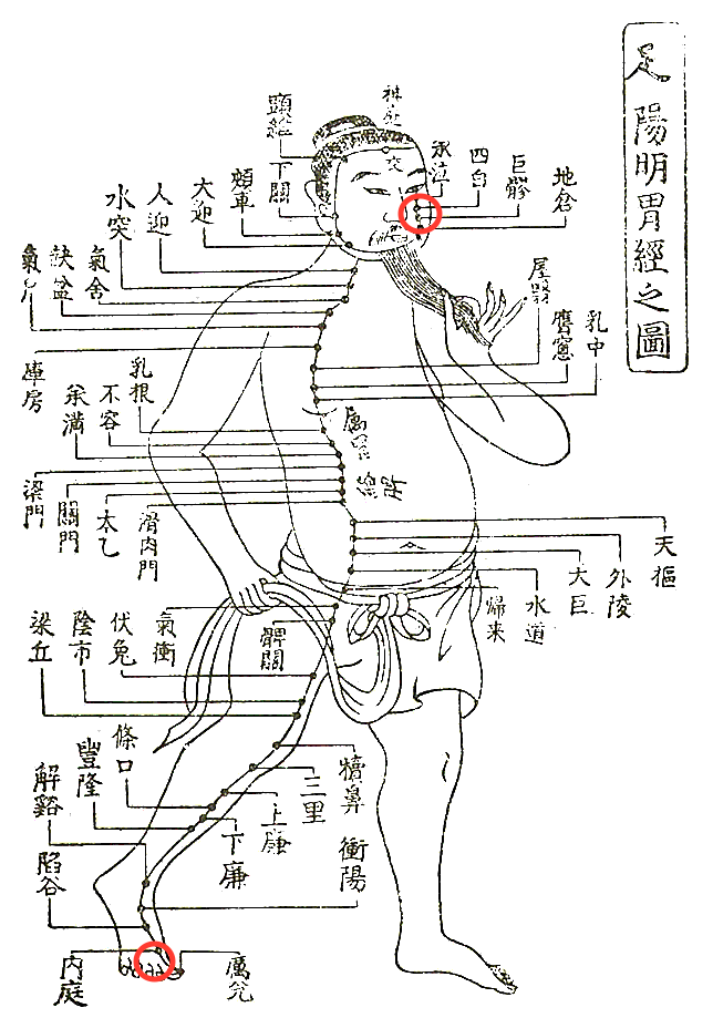 どこか一部が痛いときの体は、全体的にも捻れています〜ある日の施術より〜_e0073240_4121834.gif