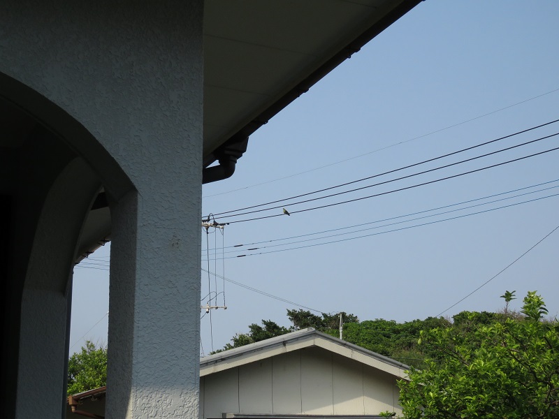 b0288942_944211.jpg