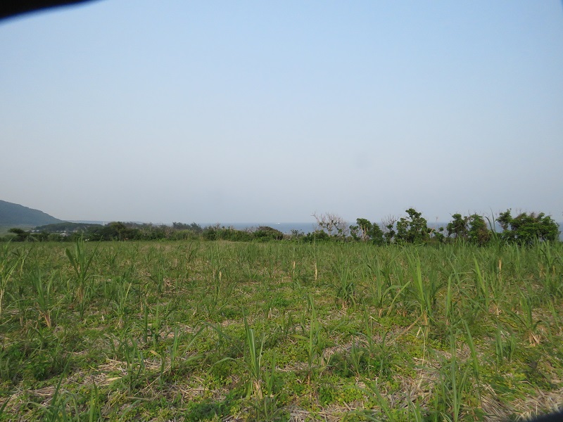 b0288942_949533.jpg