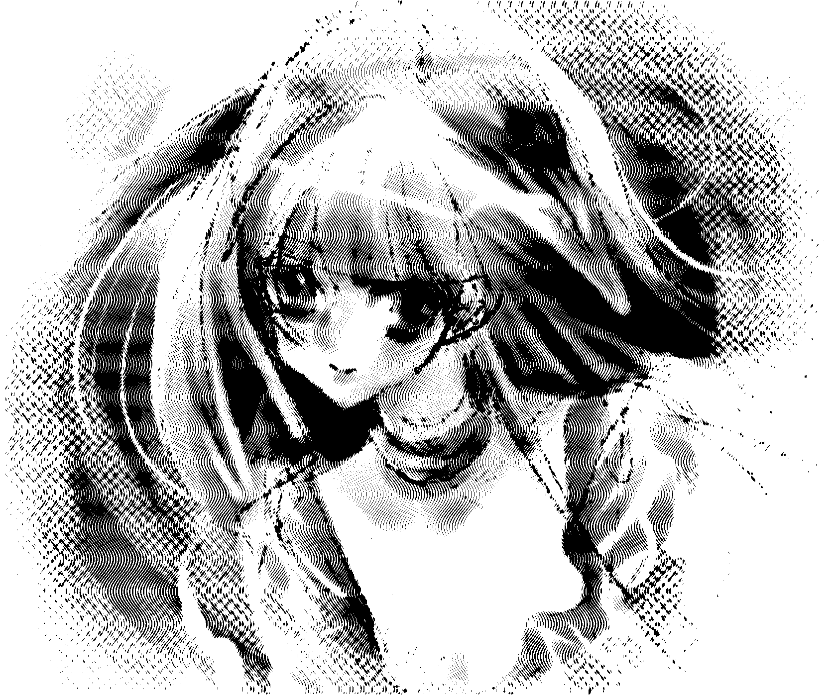 b0232447_20200954.png