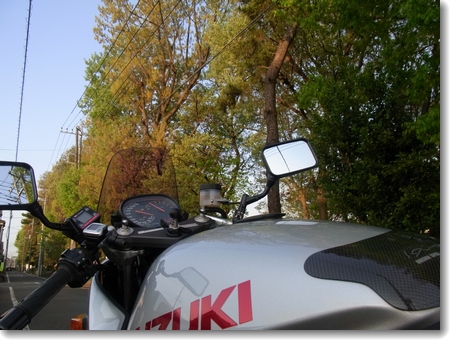 c0147448_1716322.jpg