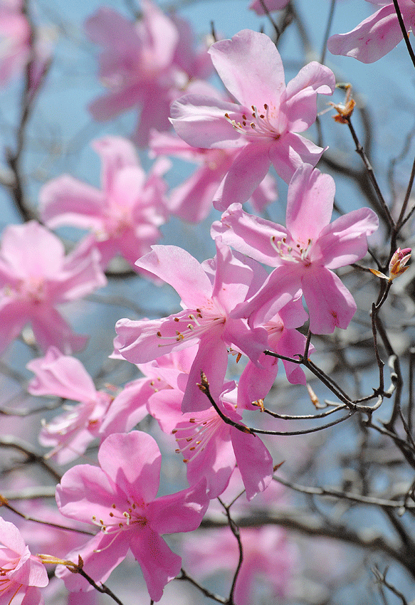 a0001354_23235891.gif