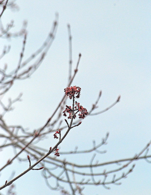 a0001354_2332599.gif