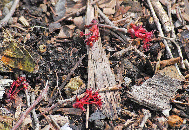 a0001354_23352467.gif