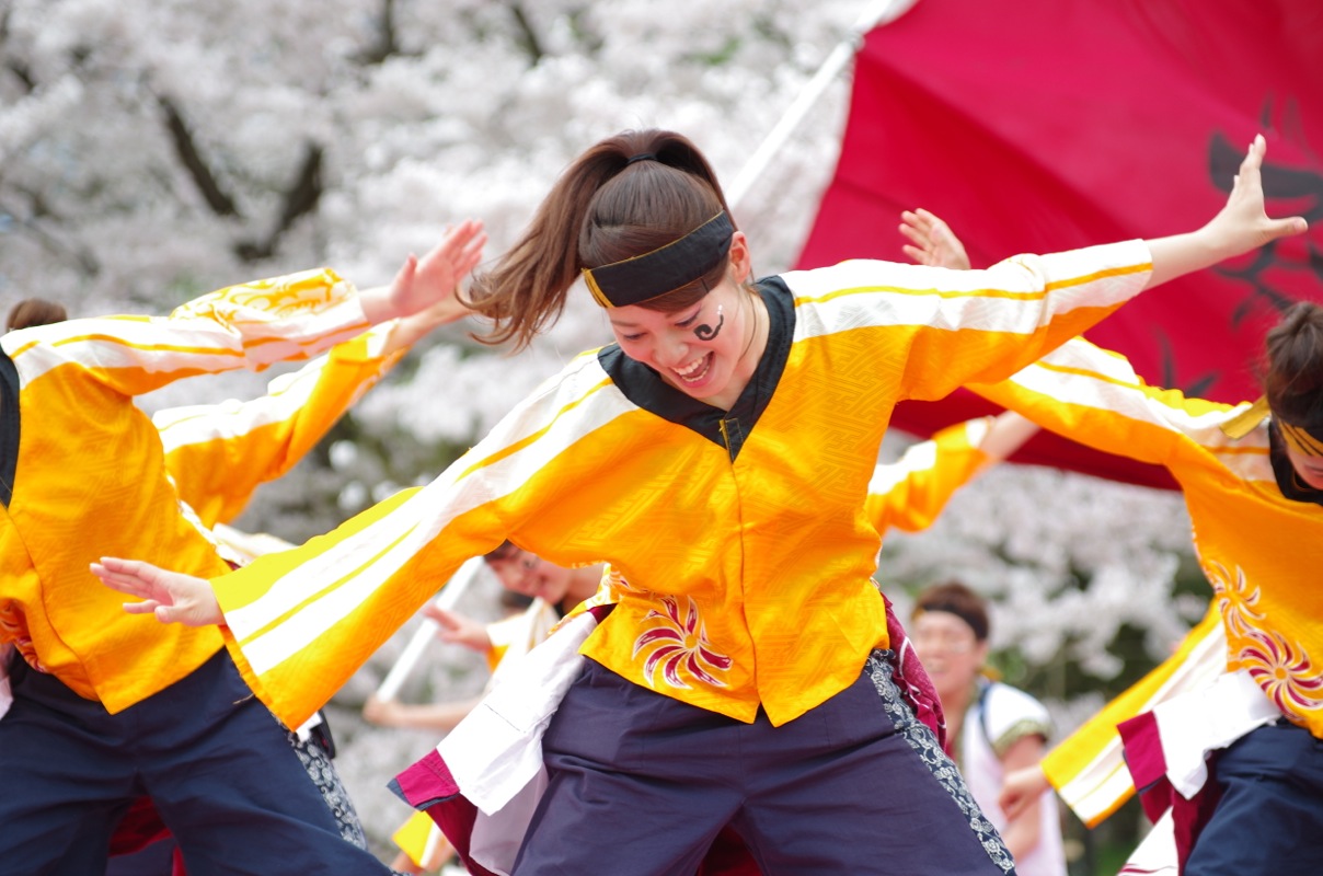 京都さくらよさこい２０１５一日目その１６（関西大学学生チーム”漢舞”その２）_a0009554_19464844.jpg